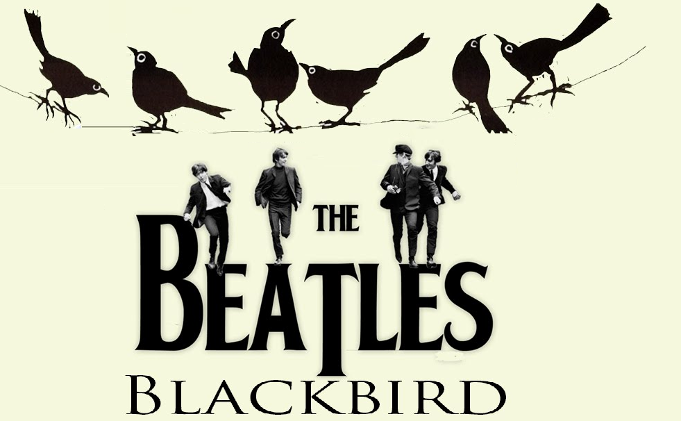 Blackbird by The Beatles